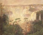 Pedro Blanes Cataracts of the Iguazu (nn02) oil painting artist